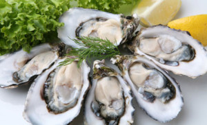 bluff oyster